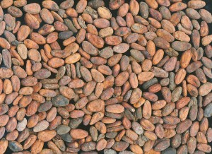 Cioccolato di Modica cacao