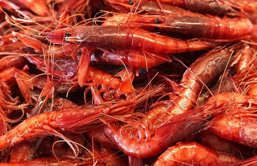 Gambero rosso di Mazara del Vallo