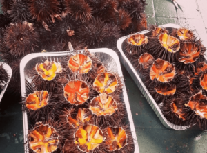 Ricci di mare col pane
