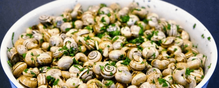 Lumache con pesto e menta