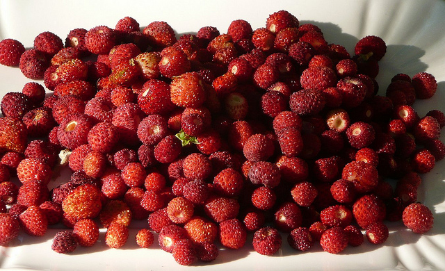 Rosolio di fragoline