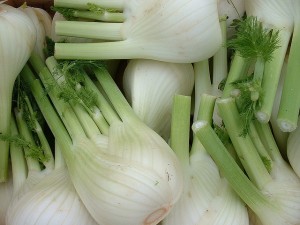 Finocchio