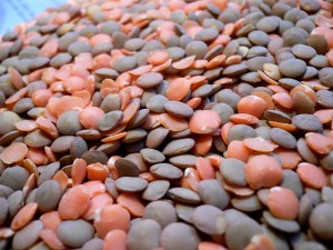 Lenticchie
