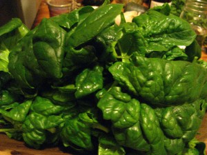 Spinaci