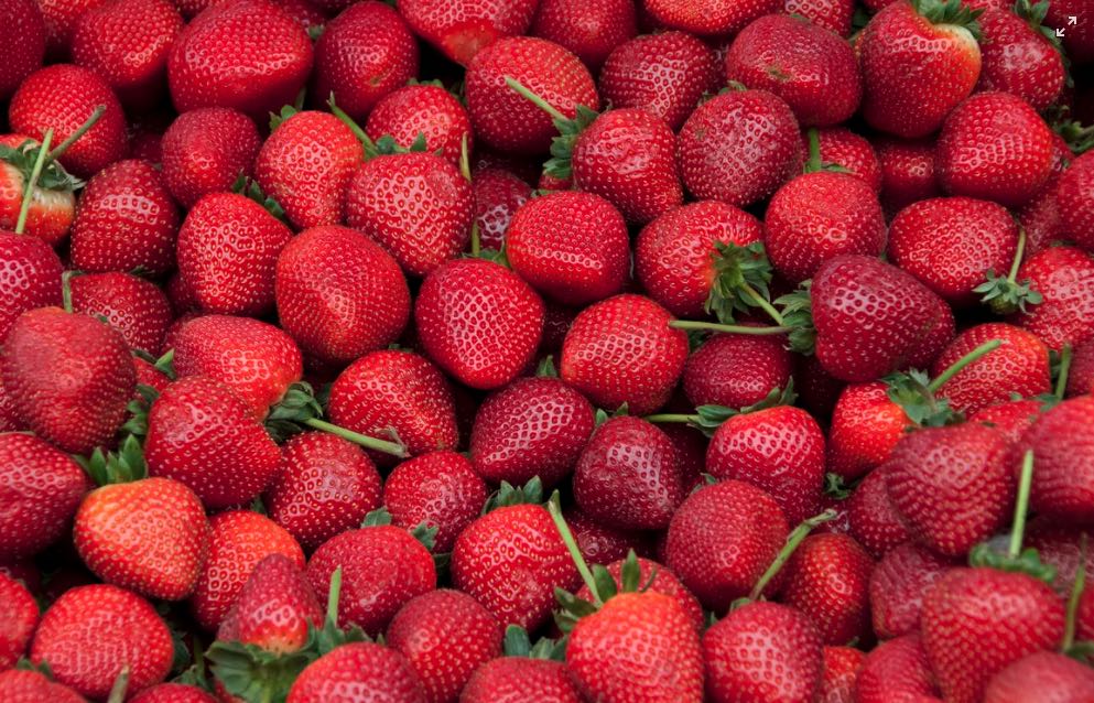 Marmellata di fragole