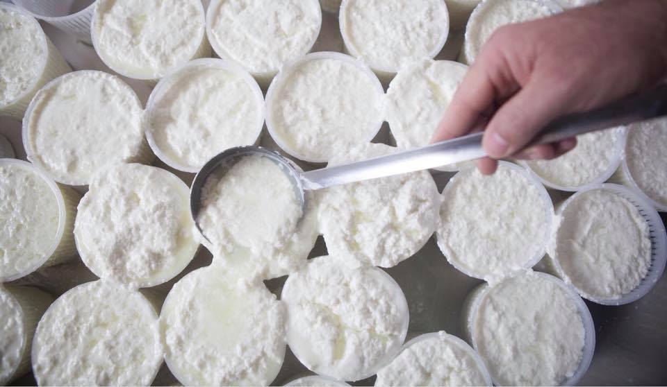 Ricotta