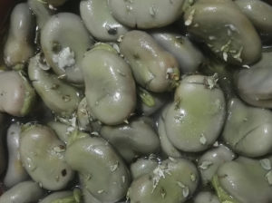 Favi liezzi di Buccheri