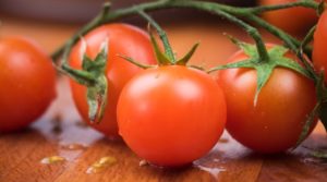 Pomodoro Pachino