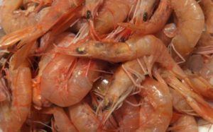Gamberi