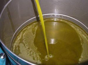 Olio extravergine di oliva Monti Iblei DOP