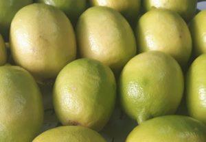 Limone Interdonato IGP
