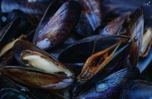 Cozze