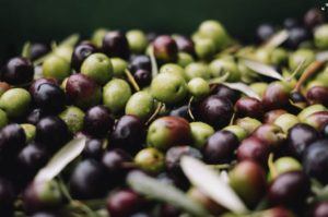 Olive